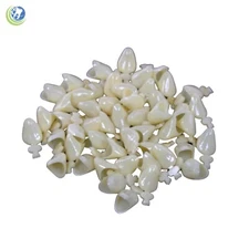 DENTAL POLYCARBONATE TEMPORARY CROWNS BULK BAGS OF 50 UNITS A2 - CHOOSE NUMBER