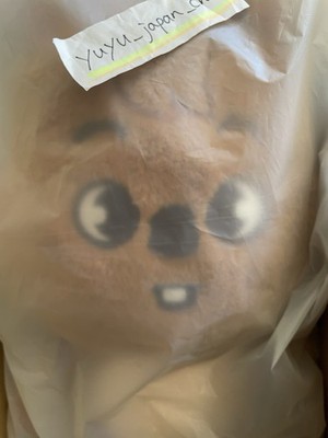 Stray Kids SKZOO Han Quokka Plush Teddybear Ver. K-pop Official