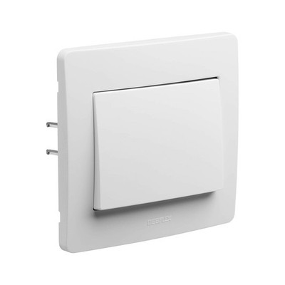 10A 250V AC pushbutton with commercial vehicle socket