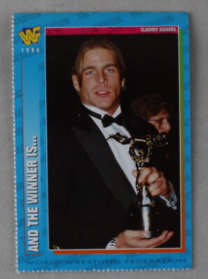 Shawn Michaels WWF Wrestling Magazine Trading Card 1996 Slammy #49