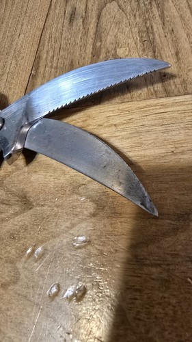 Forbici da cucina vintage Cero Galileo MR Concord acciaio inox 3,5" - Foto 5 di 9