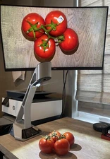 Wolfvision V Solution Cam 