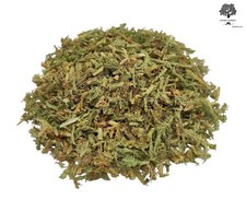 Dried Common Club Moss Herb 85g - 1,95Kg | Lycopodium