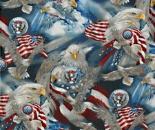 Robert Kaufman Patriots Eagles Americana Digital Quilt Cotton Fabric-BTY