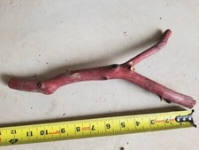 Manzanita forked branch 12" long 92