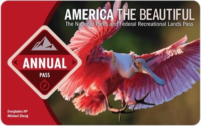 America the Beautiful 2025  - Nationalpark Pass USA gültig bis 12/26