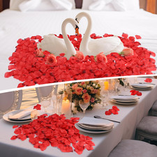3000 PCS Dark Red Artificial Silk Rose Petals for Romantic Night, Wedding, Pa...