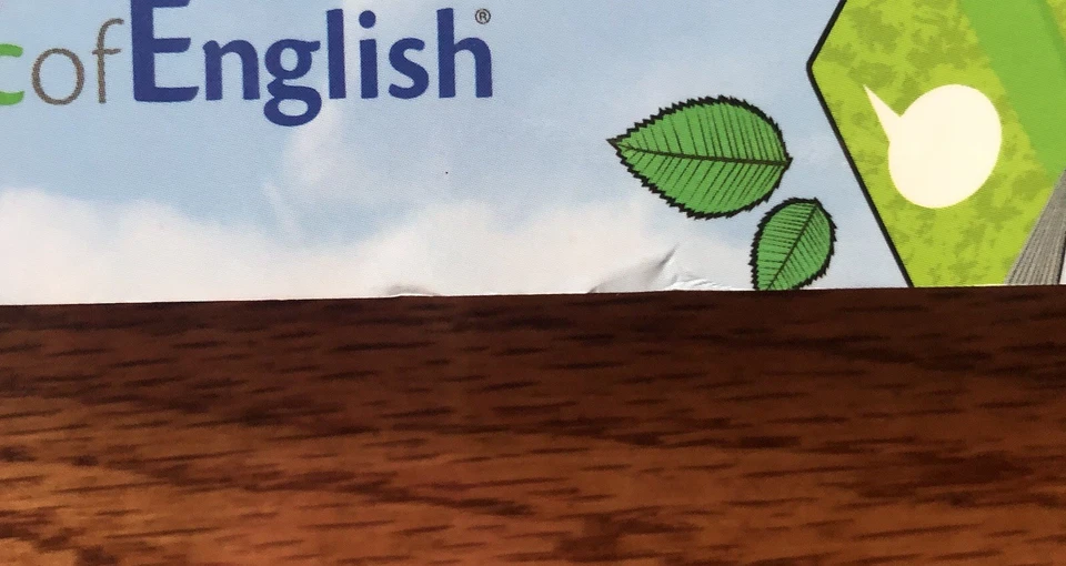 Logic Of English Essentials Student Workbook Units 8-15 By Denise Eide - Image 2 of 4