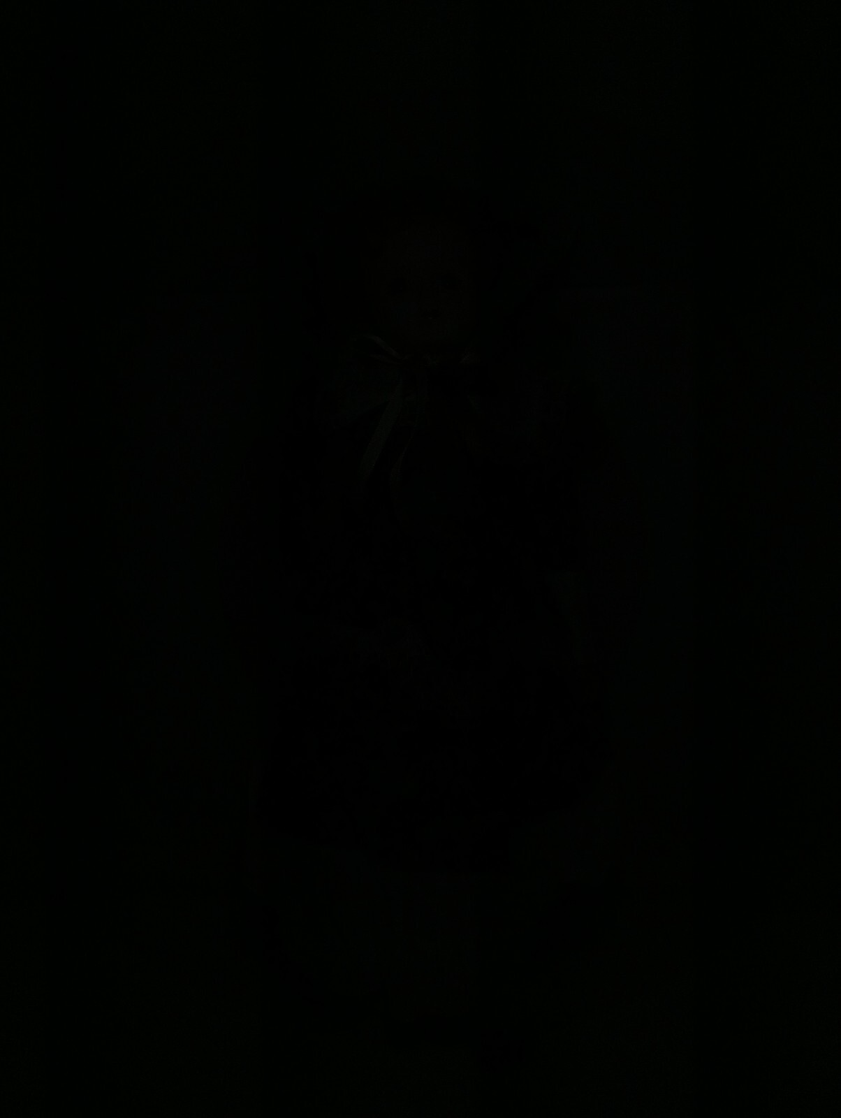 Picture 5 of 6