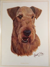 Airedale Terrier Dog Robert May Fine Art Greeting Card Blank 6x8 Quay Dorset UK