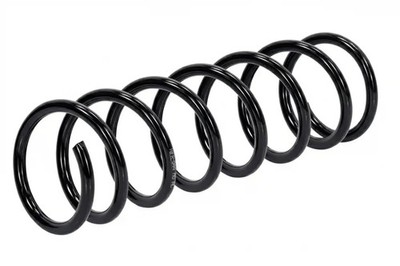 Aufhängungsfeder Hinterachse Schraubenfeder ASZ-FR-044 NTY