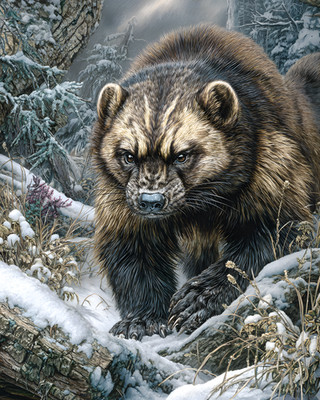 8x10 Wildlife Nature Art Print - 859994481