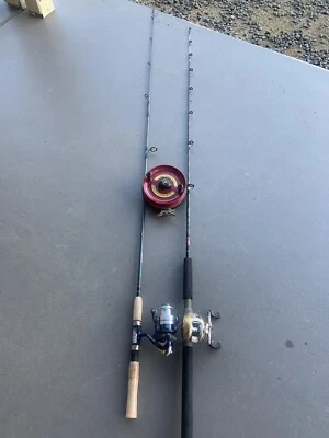 alvey blackfish rod
