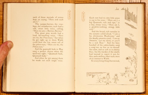 1900 1. Chr.; Die Biographie eines Grizzilys von Ernest Seton-Thompson; Das Jahrhundert - Bild 14 von 21
