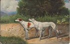 Vintage Dog Borzoi/Russian Wolfhound German Novelty Art Series #70 Postcard