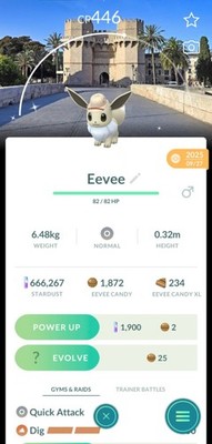 Safari Eevee Valencia background