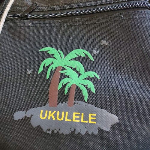 Estuche de Transporte Ukelele Negro Suave Envío Gratis EE. UU. - Imagen 2 de 5