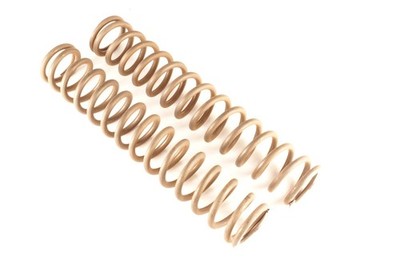 Feinwerkbau 300S Main Springs Pair FWB300SMAINSPRINGS Genuine New