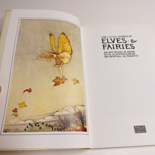 Libro pequeño de colección The Little World of Elves & Fairies Ida Rentoul Outhwaite 1985 PB - Imagen 4 de 17