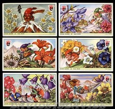 FIGURINE LAVAZZA  N° 43 - FIORI ALPINI - GNOMI E NANI