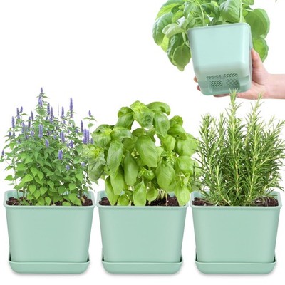 Oliz Herb Garden Planter Indoor Kit Pots for Indoor/Outdoor Small, Green 