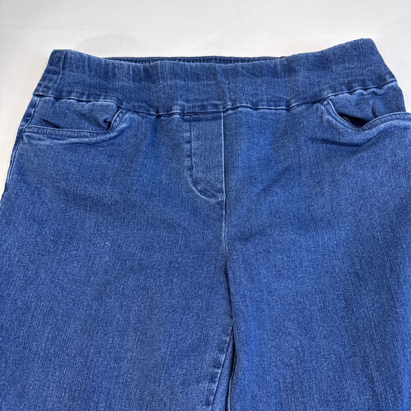 Alfred Dunner women’s Allure Pant Pullon Size 6P Super Stretch Modern Fit Blue
