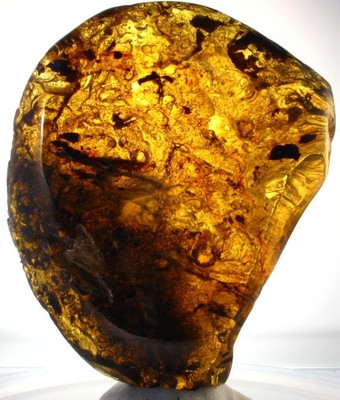EXCELENT PIECE!!  Half Polished Mexican Amber 69g
