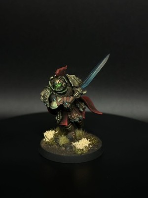 PRO Painted Warhammer 40k:Grimdark Blade Champion Adeptus Custodes