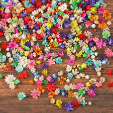 Mini Dried Flowers for Resin, Small Dried Flowers for Crafts Resin Nails, Tiny N