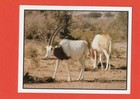 Bild 119 von 155