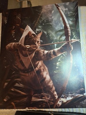 robin hood cat in sherwood forest white pointed hood w/bow & arrow 8x10 in (p14)