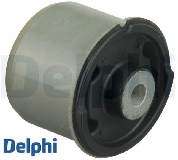 Delphi TD1629W Lagerung FüR AchsköRper Lagerung AchsköRper Hinterachse-image