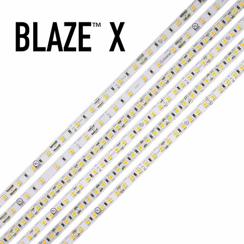 Diode Led Blaze X 100 Led Tape Light 24v 5000k 16.4ft 1.54w /ft Spool