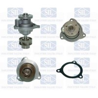 Saleri SIL Wasserpumpe FüR Ford KA Rb_ Fiesta V Jh_ Jd_ Street RL2 RB