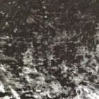 Bild 6 von 8