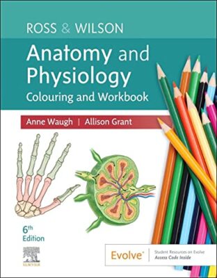 Muscular System Manual: Skeletal Muscles of Human Body, 4e