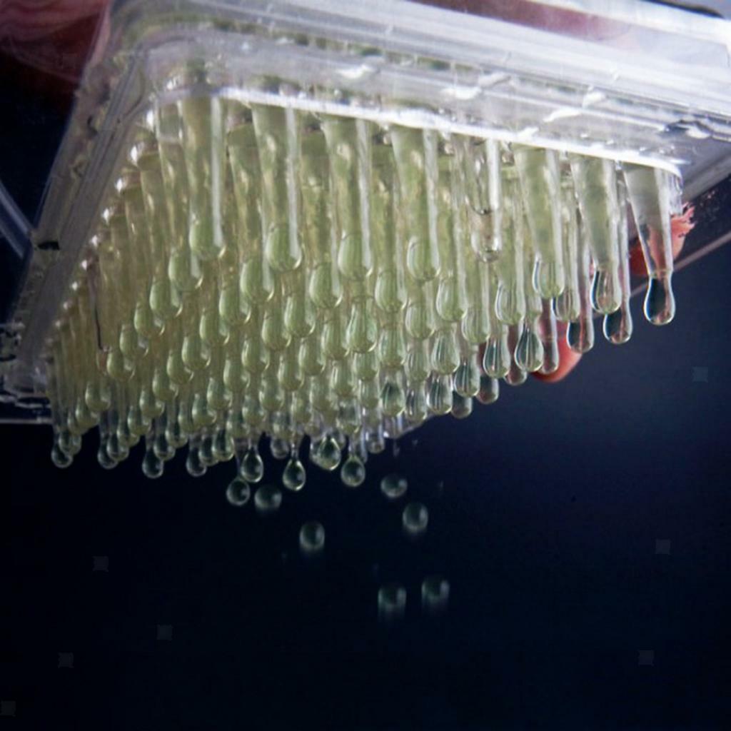 Ieron Kaviar Maker Set - Sphärisation Tropfer Für Popping Boba & Kaviar