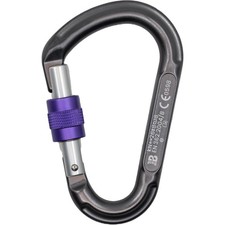 Beal Be Lock A Vis - Schraubkarabiner