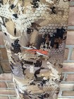 Bild 11 von 16