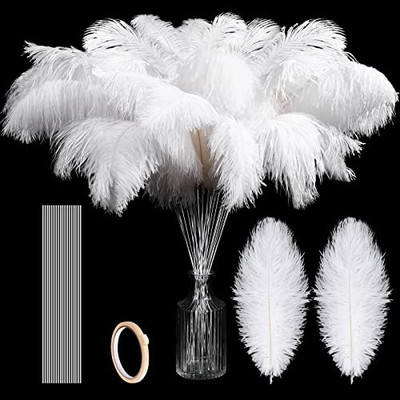  25 Pcs Ostrich Feathers Bulk Plumes 10-12 Inch (25-30 cm) Include 12 Pcs White