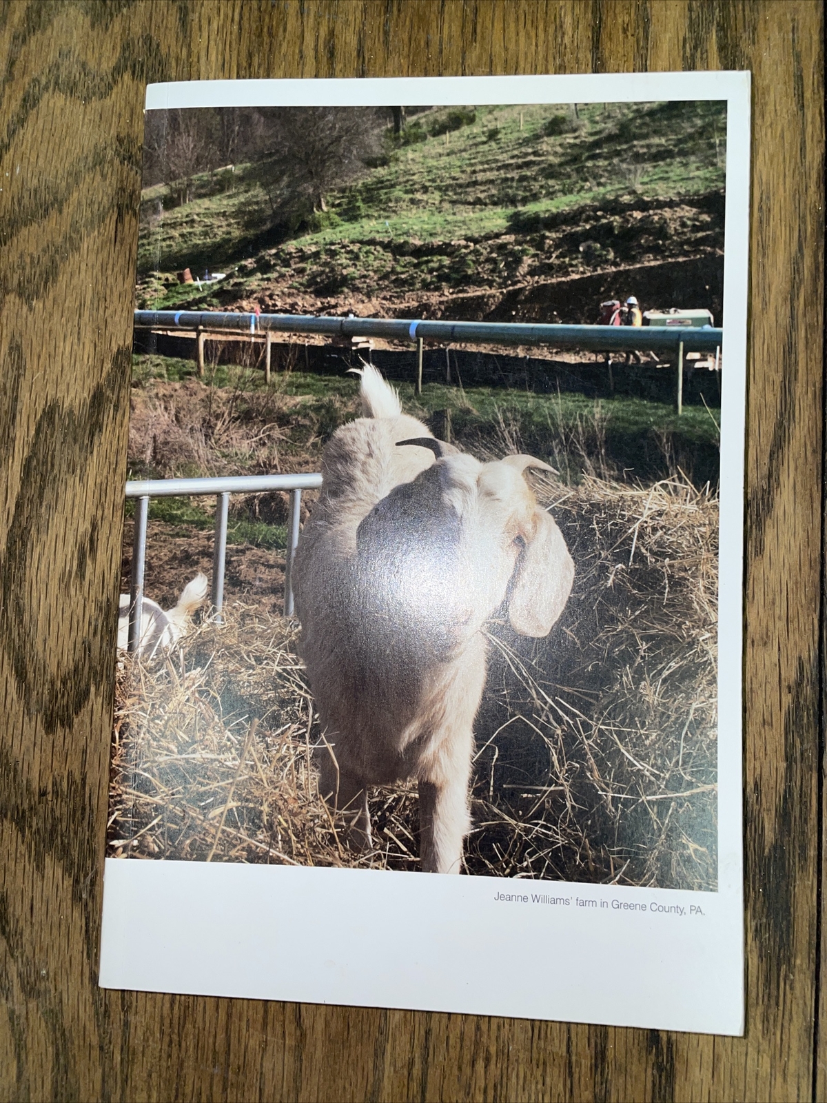 Picture 2 of 4