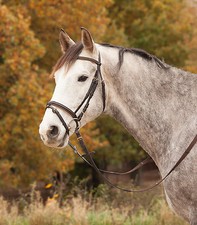 Waldhausen Trensenzaum Zaumzeug Trense Diamond Strass Pony, Vollblut, Warmblut