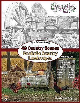 Adult Coloring Books 48 Country Scenes Realistic Country Landscapes Relaxin 9781539316022 Ebay - 