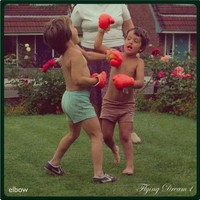 Vinile - Elbow - Flying Dream 1 (Green Vinyl) - Polydor -D- Neu