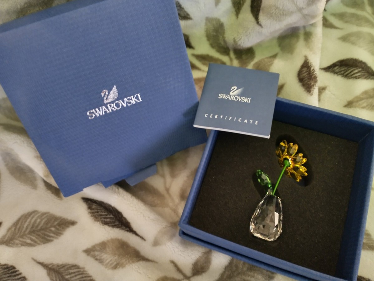 Swarovski soaかぁち Amazon.com: Swarovski Women's SK 7011 with Crystal Clip-On