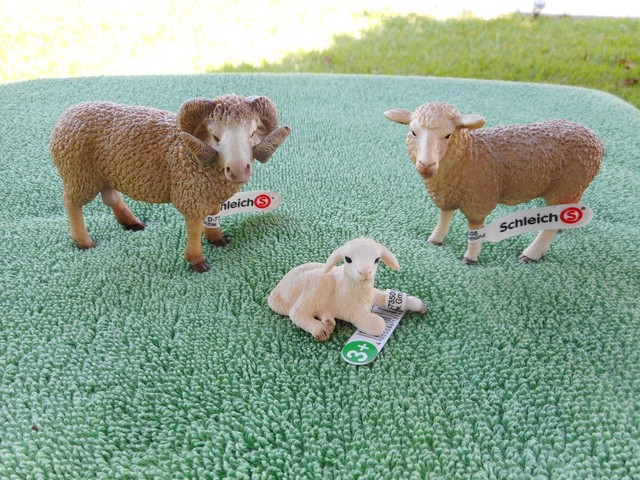 schleich sheep