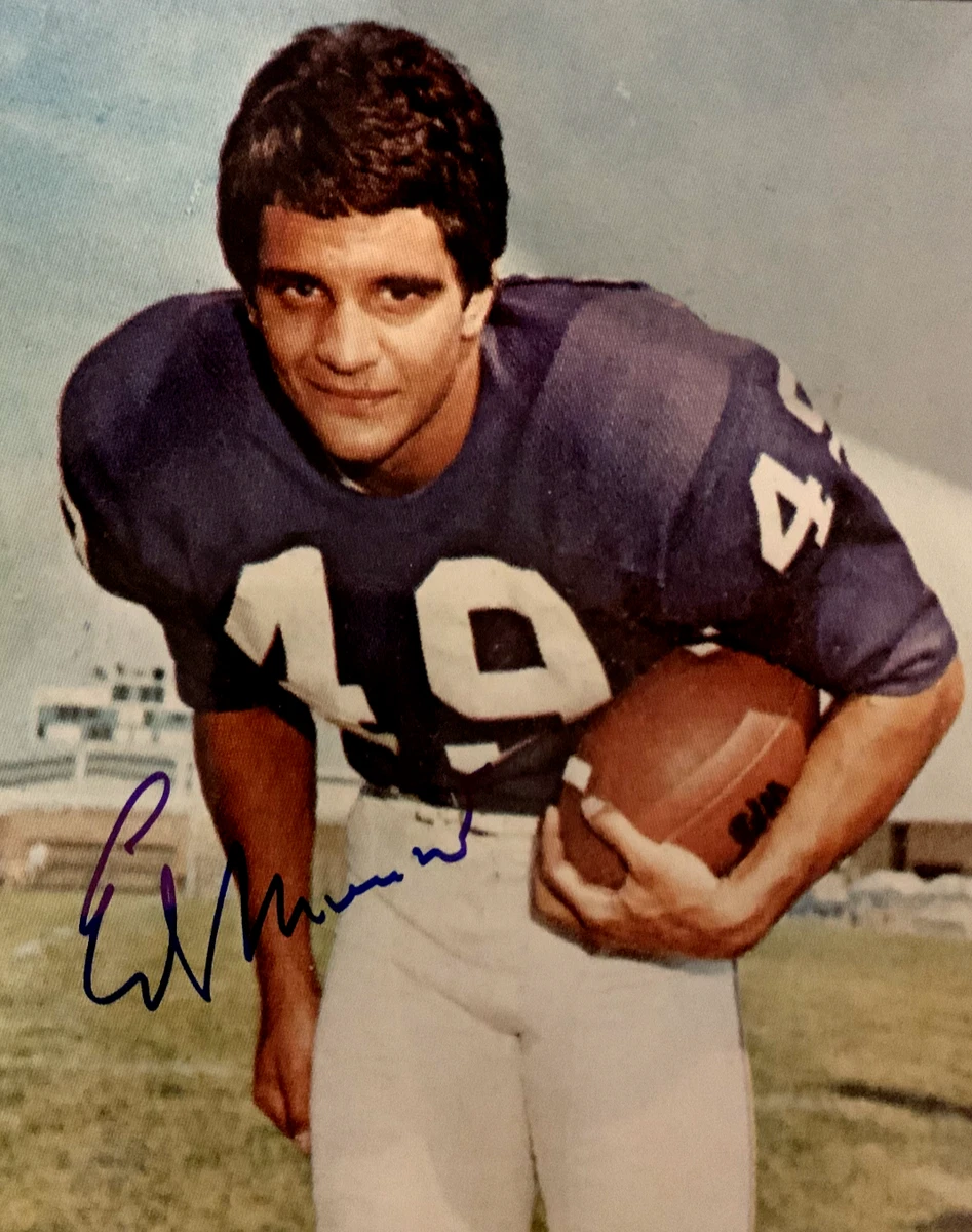 Ed Marinaro Vikings