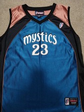 Rare Vintage Champion Washington Mystics Chamique Holdsclaw 23 Jersey Womens L