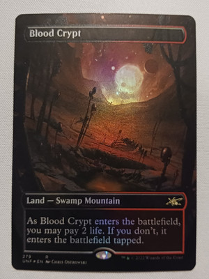 Blood Crypt (Foil) (Borderless) - Unfinity - LP - Magic the Gathering