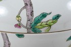Bild 5 von 12